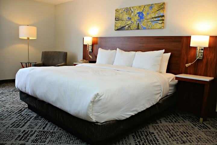 Room 4 of 19