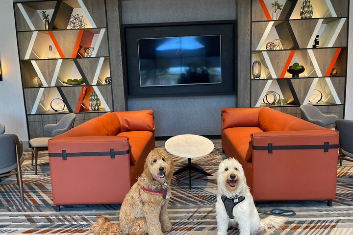 Hotel Interior 2 of 71