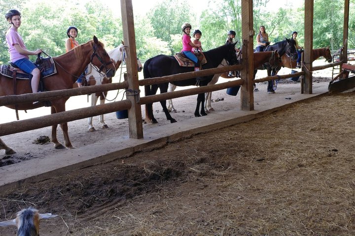 Arrowmont Stables & Cabins