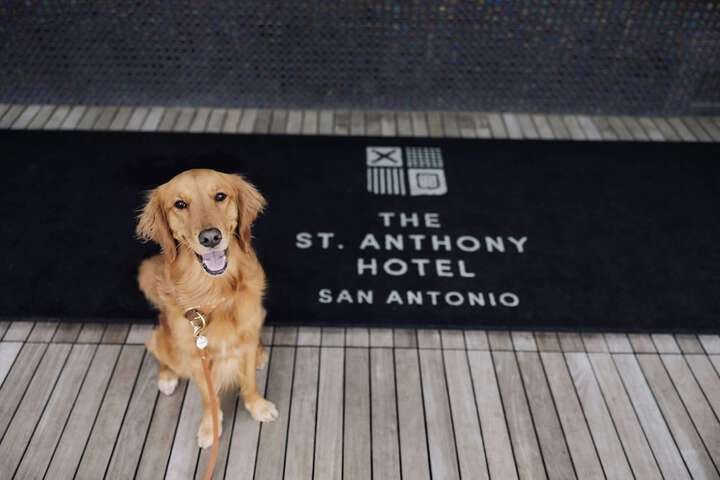 The St. Anthony a Luxury Collection Hotel, San Antonio