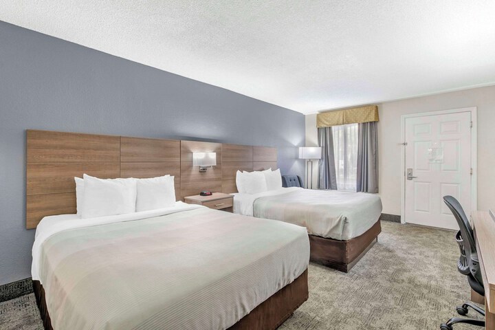 Room 19 of 41