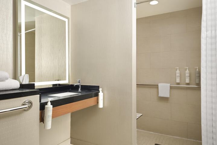 Embassy Suites by Hilton Chicago Downtown Magnificent Mile