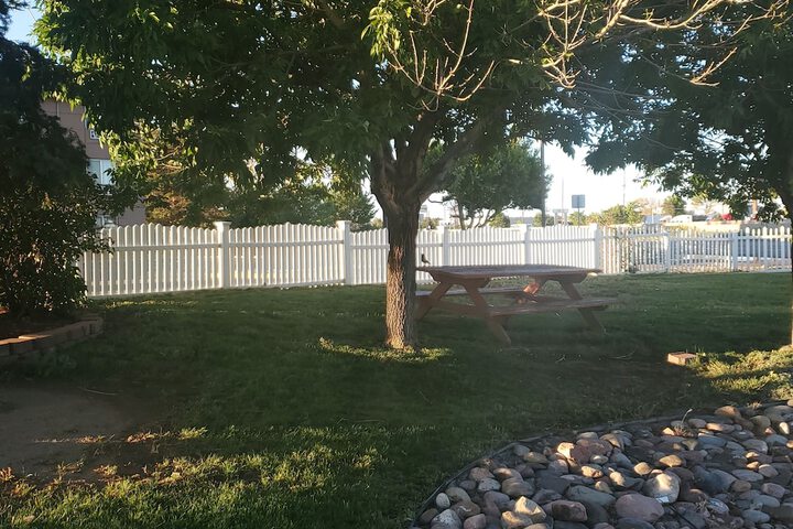 Property Grounds 55 of 56
