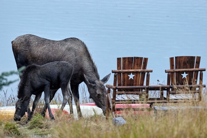 Denali Lakeview Inn