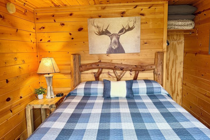 Mountain View Lodge & Cabins
