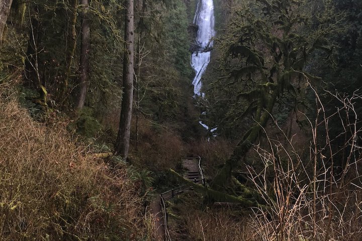 Tillamook Bay City RV Park