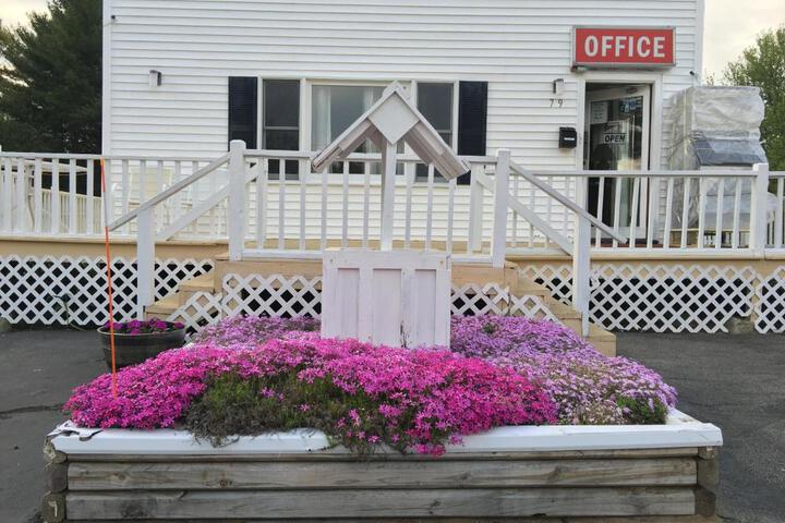Knotty Pine Motel