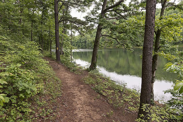 Outdoor Activities 45 of 51