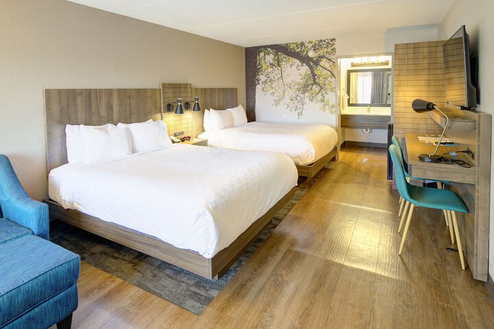 Room 34 of 41