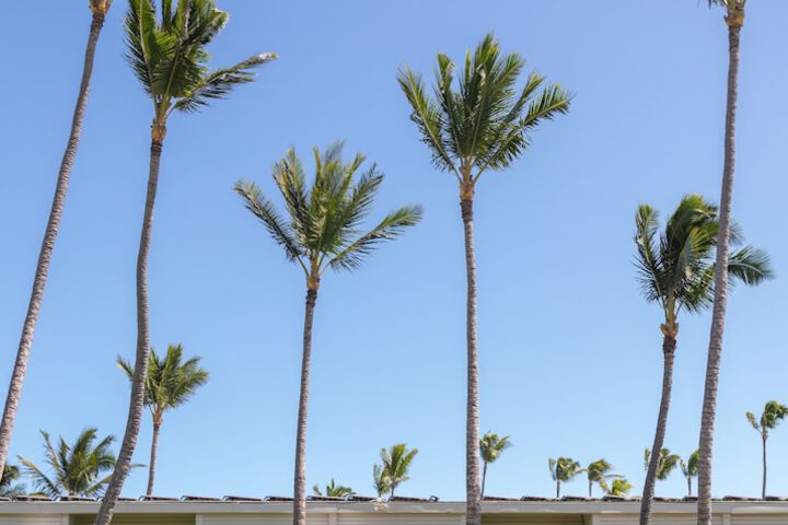 Maui Beach Hotel