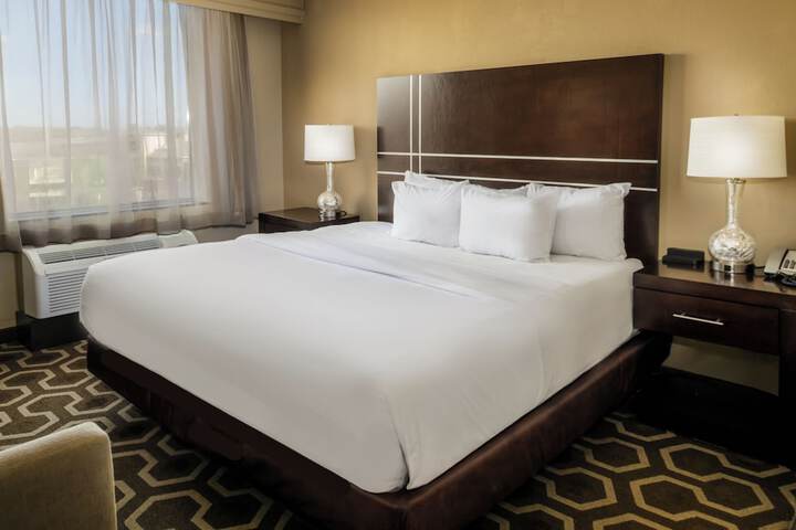 Embassy Suites by Hilton St. Louis Airport