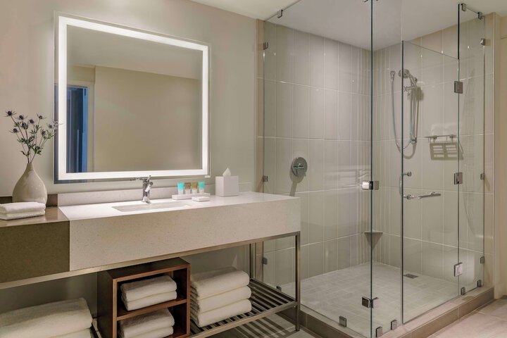 Hyatt Regency Houston / Galleria