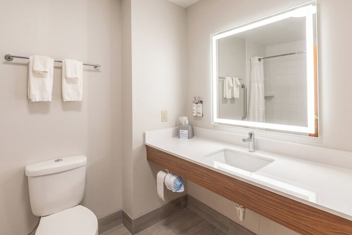 Holiday Inn Express Hotel & Suites ANDERSON NORTH by IHG
