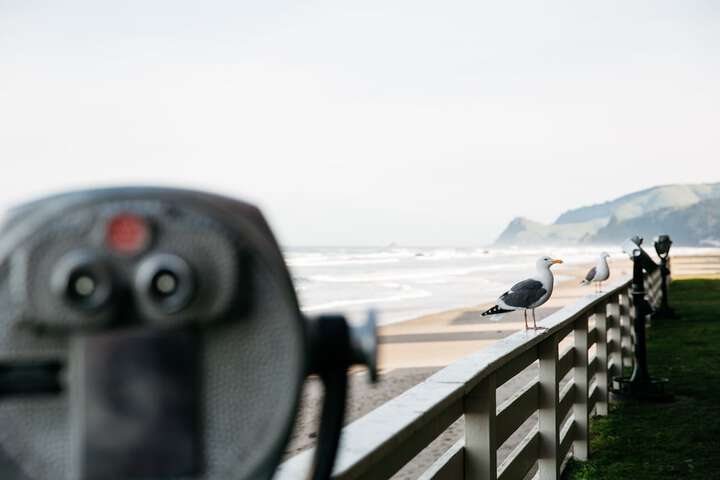 Surftides Lincoln City