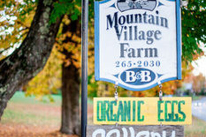 Mountain Village Farm B & B