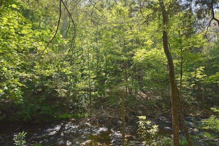 Rosies Creekside Retreat - 3 BR Escape!