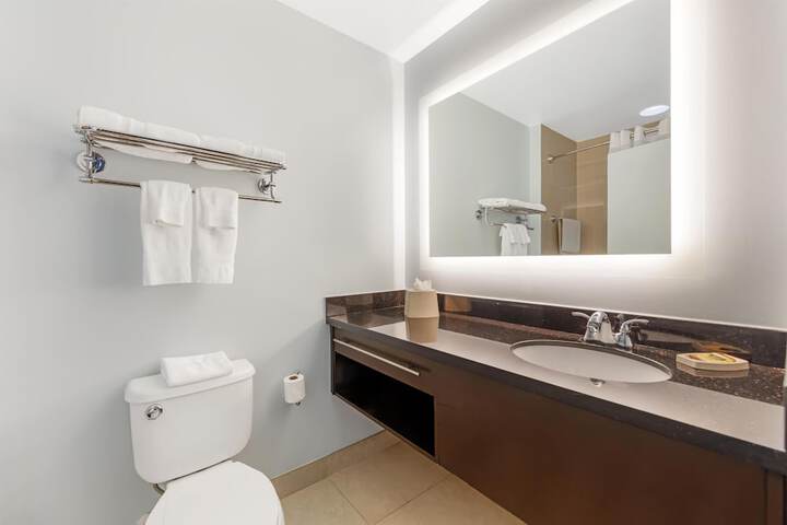 Best Western Plus Miami Airport North Hotel & Suites