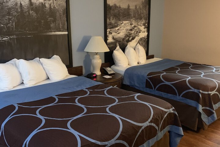 Super 8 by Wyndham Kingston