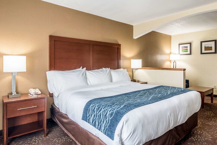 Comfort Inn & Suites - Hannibal