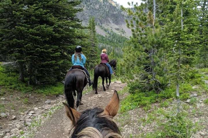 Fish Creek House Bed & Breakfast