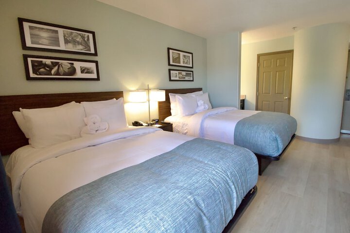 Room 49 of 58