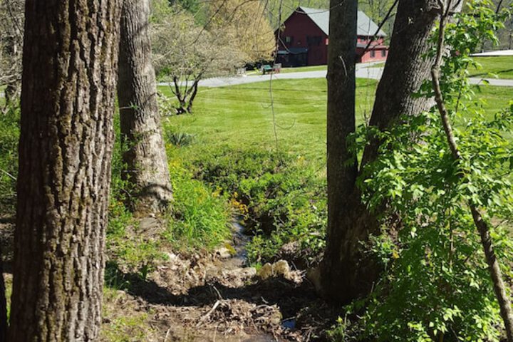Pisgah View Ranch