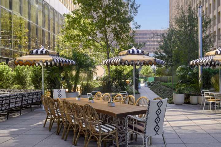 C. Baldwin Curio Collection by Hilton