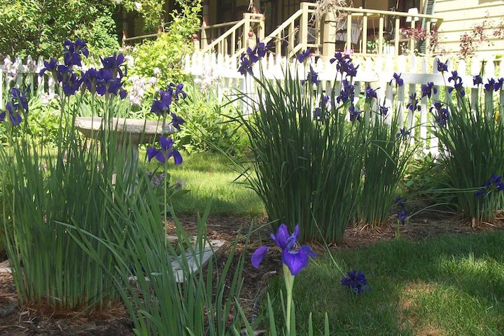 Apple Tree Lane Bed & Breakfast