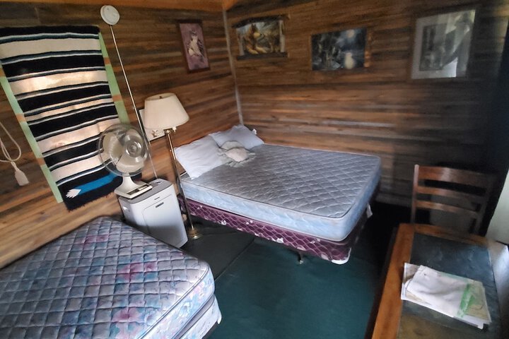 Suzies Camp