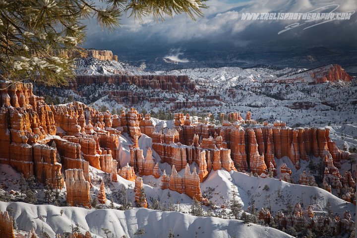 Bryce Trails Bed and Breakfast