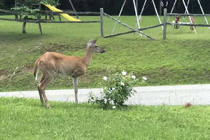 Property Grounds 20 of 20