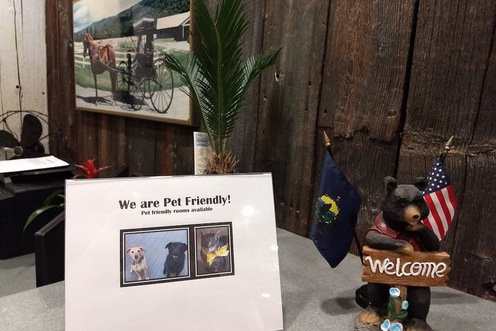 Pet Friendly 73 of 76