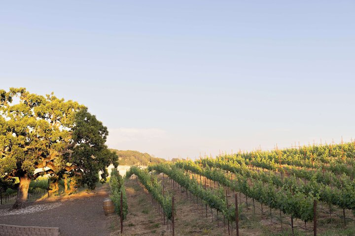 The Meritage Resort and Spa