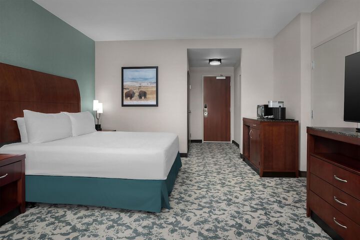 Hilton Garden Inn Denver Downtown