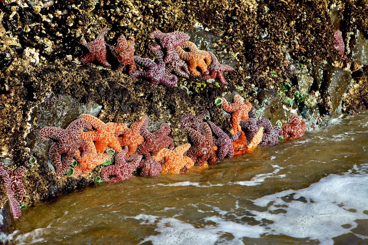 Beach 53 of 61