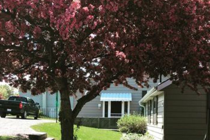 Shorehill Cottages on the Water