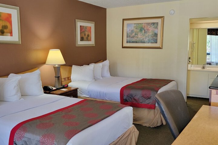 Room 19 of 44