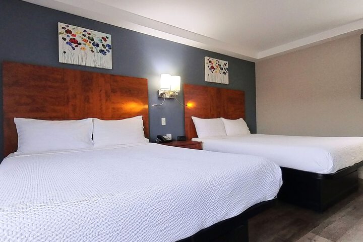 Room 19 of 55