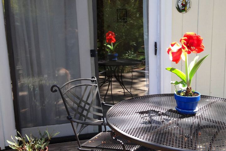 Terrace/Patio 66 of 74