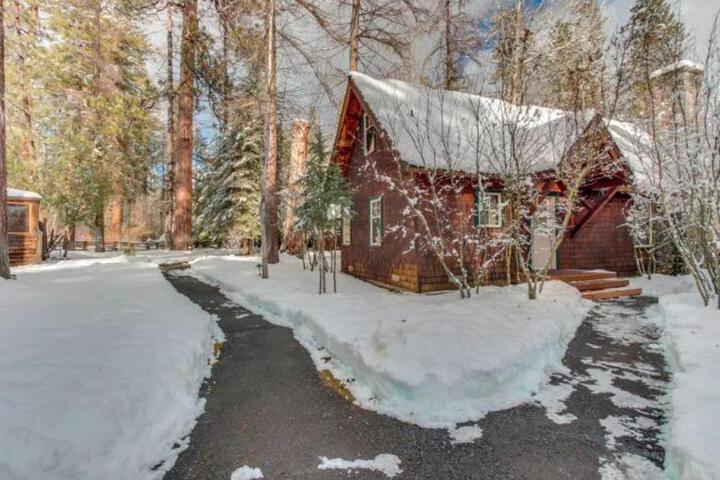 Metolius Cabin 6
