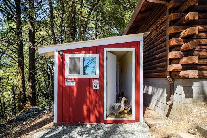 Mountain Homestead: Swim Hike, & Camp On-site!