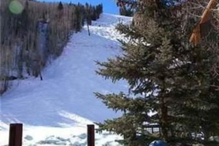 Double Diamond by Telluride Alpine Lodging