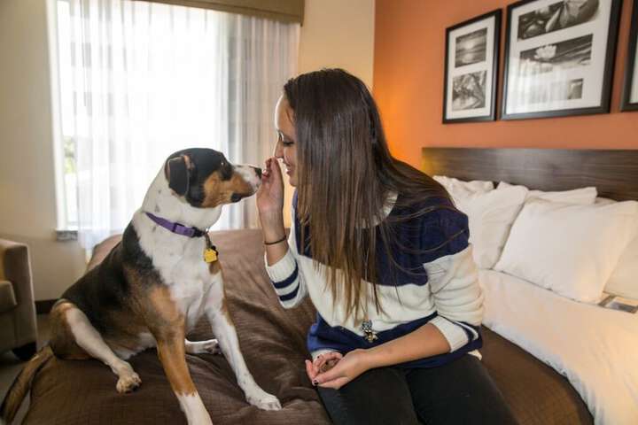 Pet Friendly 68 of 74