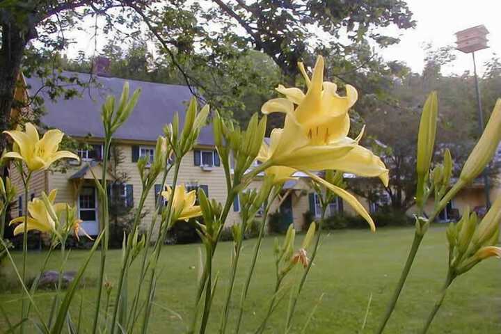 Property Grounds 9 of 10