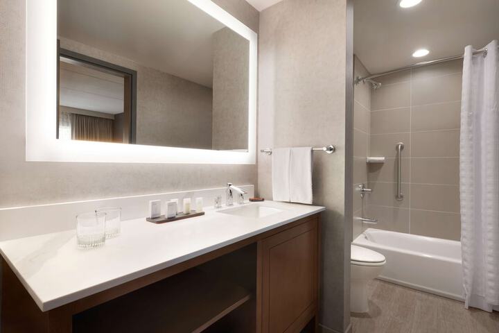 Embassy Suites by Hilton Chicago Naperville