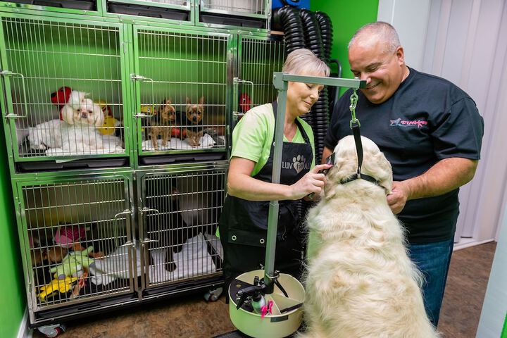Pet Friendly 98 of 106