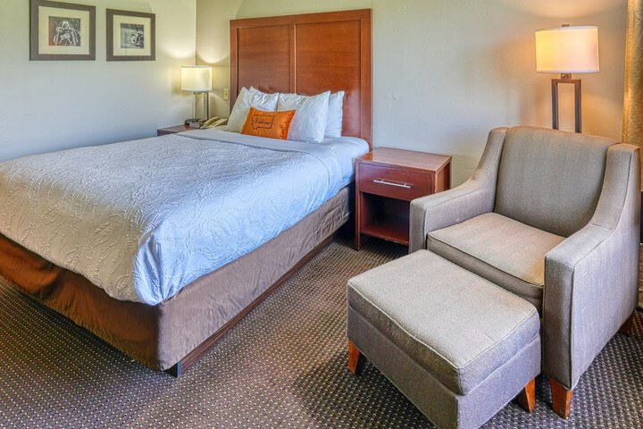 Room 10 of 16