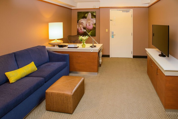 Room 15 of 42