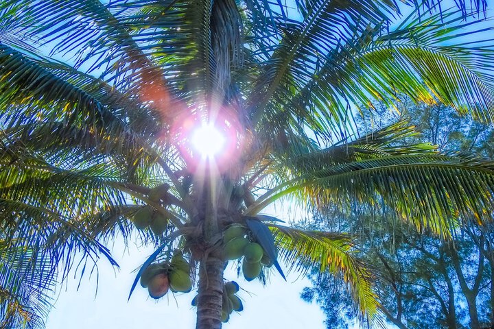 Casey Key Resorts - Beachfront