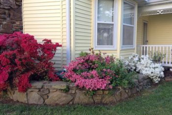 Florence Inn Bed and Breakfast
